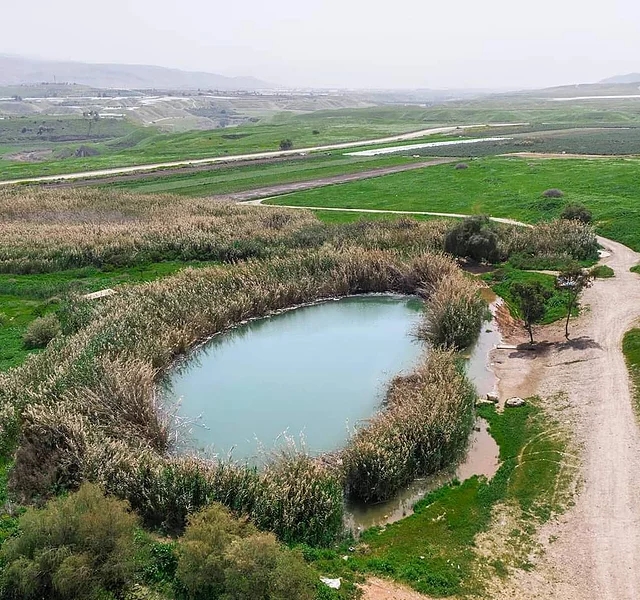 עין סוכות