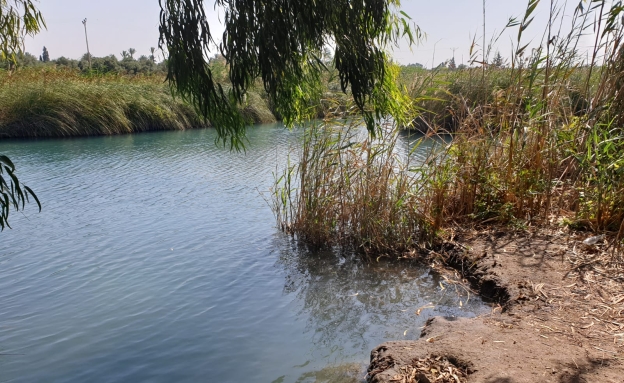 Kibbutzim Stream