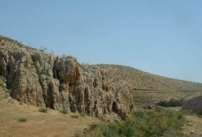 שמורת רותם-משכיות